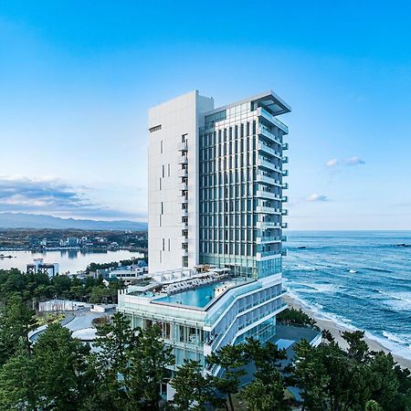 Seamarq Hotel 江陵市 外观 照片
