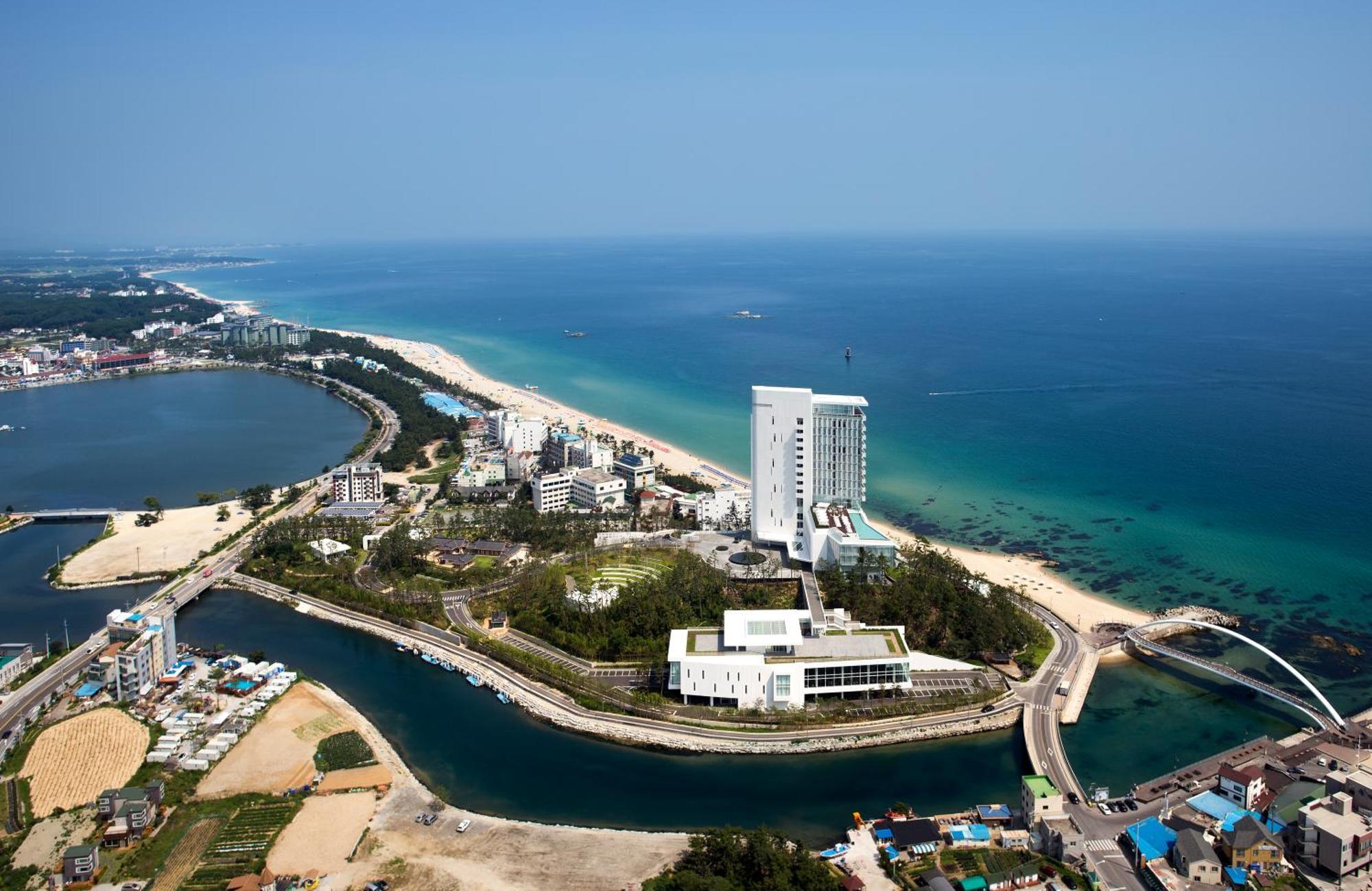 Seamarq Hotel 江陵市 外观 照片